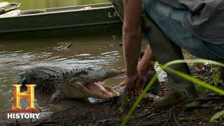 Swamp People: Willie Battles a Monster Gator (Season 10) | History