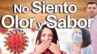 Gusto Y Olfato - Los Perdí, Qué Hago? - Causas Y Soluciones Para La Pérdida O Falta De Olor Y Sabor