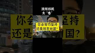 澳洲移民太“卷”，你会努力坚持还是放弃回国？