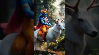 Divine Journey of Lord Krishna on the White Stag"#short#viral video