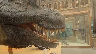 Travel Spots ◉ Oxford University Museum of Natural History󠁧󠁢󠁥󠁮󠁧󠁿