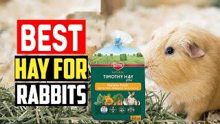 Top 5 Best Hay For Rabbits Reviews in 2023