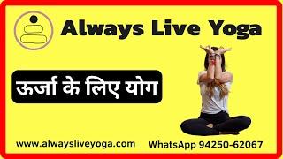 Online Yoga Classes I AlwaysLiveYoga for beginners & intermediate levels