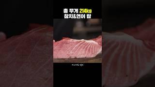 참치와 연어 사시미