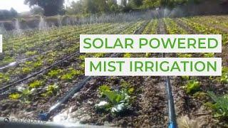 A Futurepump SF2 Solar Pump For Mist Irrigation