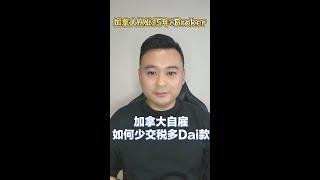 在加拿大自雇如何能少交税多贷款呢？