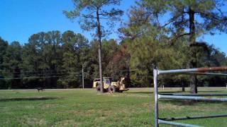 611 Hydro Ax cuts 80ft tree