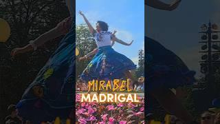 MIRABEL MILLION SPLASHES OF COLOUR #shorts #encanto #mirabelmadrigal #madrigal #disneylandparis