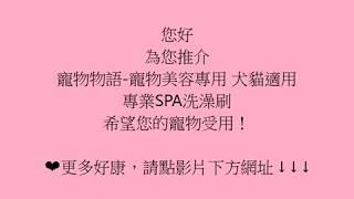 【寵物用品批發-ptt部落客評價如何?】寵物物語-寵物美容專用 犬貓適用 專業SPA洗澡刷