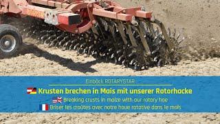 Rotorhacke im Mais | Rotary hoe in maize | Houe rotative dans le maïs - Einböck Shortclip #46