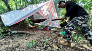 Nguy H.i.Ể.M Trong Rừng Tôi Đã Gặp Những Loài Này Suvival 240 H Night in the rainforest bushcraft