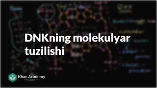 DNKning molekulyar tuzilishi | Uglerodning xususiyatlari | Biologiya | Khan Academy Oʻzbek