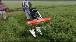 Fodder Reaper Working AP-2200 || Agro Power