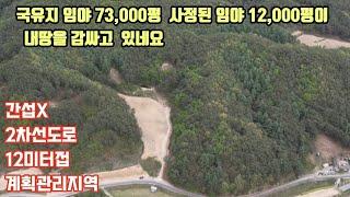 461번) 국유지 임야 73,,000평 사정된임야 12,000평이  뒷산#8미터도로접. 대형차진입#마을과  약500미터 거리 간섭없는 곳#계획관리#건폐율40%#안동땅매매#경북땅매매