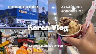 KOREA VLOG / последний праздничный выходной