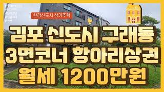 * 상가주택매매 * 김포신도시 구래동 항아리상권 상가주택, 월세 1200만원, 구래동 마산동 생활권이 너무 편리해서 공실 걱정 전혀 없는 건물 통매매