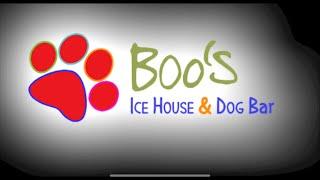 Sarasota Happy Hour Episode 6:  Boo’s Ice House & Dog Bar