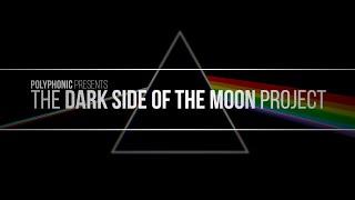 An Exhaustive Exploration of Dark Side of the Moon