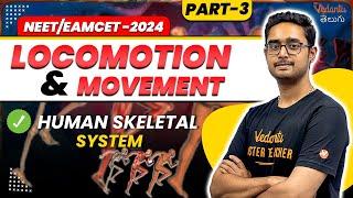 Locomotion and Movement 03 | Human Skeleton System | Class 11 | NEET/EAMCET 2024