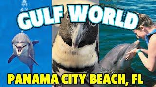 Gulf World - Panama City Beach, Florida Tour & Review!