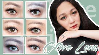 OLENS OLIVE LENS COLLECTION|COMPARISONS,CLOSE UP+REVIEW