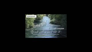 SALIM BAHANAN | SURAH AT-TIN | BEAUTIFUL️ RECITATION |