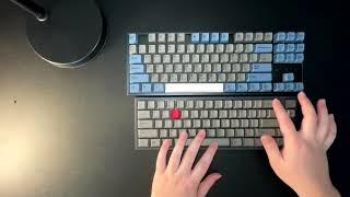 Topre vs TTC Silent Bluish White