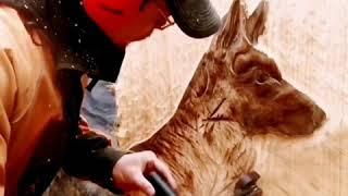 Relief carving a German Shepherd portrait.