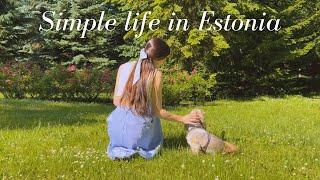 Life in Estonia | Vlog