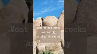 Joshua Tree Traveling Tips