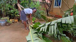 Our Small  Urban Farm After Heavy Rains.