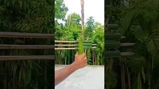 3iple Bow And Arrow