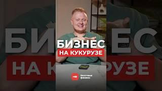 Стоит ли начинать БИЗНЕС НА КУКУРУЗЕ в 2025 году? #бизнес #бизнесидеи #бизнесснуля