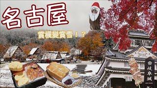 【名古屋GOGO】ep2｜說好的楓葉變雪白一片｜白川鄉合掌村下雪了｜岐阜公園整片楓樹｜整排銀杏樹太美了啦