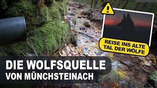 Die Wolfsquelle von Münchsteinach - Eine Reise ins alte Tal der Wölfe