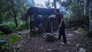 Renovating the farm, the bad guys come to steal chickens - khánh / farm building