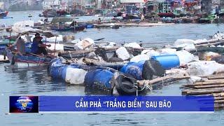 Cẩm Phả "trắng biển" sau bão