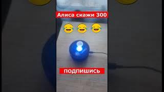 Алиса скажи 300