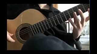 Gipsy Kings - Faena (Cover by Alex Maisuradze)