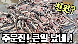 주문진 어민 수산시장 홍게 이거 다 어떡해? 주말 맞아? 손님 없어 한마리 천원! 큰일 났네요! korean fish market channel