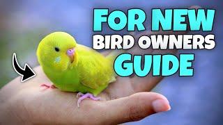 New Bird Owner? Don’t RUIN Everything – Watch THIS!