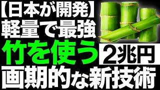 【衝撃】常識を覆す！日本が開発した「竹繊維プラスチック」に世界が震えた！【2兆円】