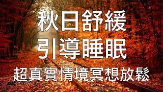 引導睡眠 | 秋日舒緩之旅沈浸式催眠中文超真實情境冥想放鬆 Chinese Guided Meditation and Hypnosis Music: Autumn Journey