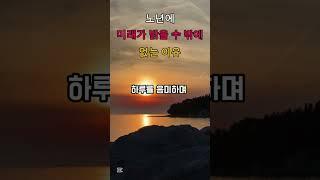 노년에 미래가 밝을 수 밖에 없는 이유 #노년의행복 #노년 #인생은행복해 #인생의도전 #명언 #인생조언 #좋은글 #지혜 #멋진글귀 #축복된삶 #은빛힐링