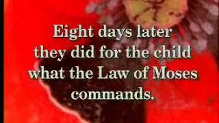 The Watchword Bible   New Testament   03   The Gospel of Luke