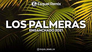 MEGAMIX Los palmeras ENGANCHADO 2021 | Grandes Éxitos Enganchados - Esquel Remix