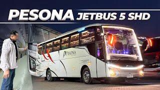 INI ALASAN PO PESONA MAS WAHID BELI BUS DI ADIPUTRO ‼️