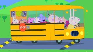 The New School Bus  Best of Peppa Pig Tales  Cartoons for Children |