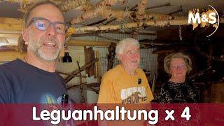 Terrarianer mit 80 Jahren | Homestory Reni und Hans | Leguane