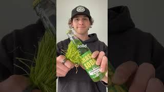 Does Grass Soda Actually Taste Like Grass?